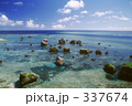 透き通ったさんご礁の海岸