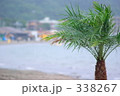 ヤシのある夏の浜辺
