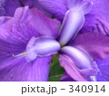 340914