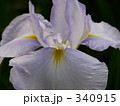 340915
