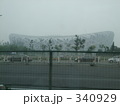 鳥巣　バードネスト