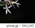 白と黒と・・・