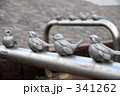 オブジェ