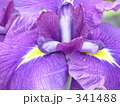 341488