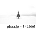 クリスマスツリー