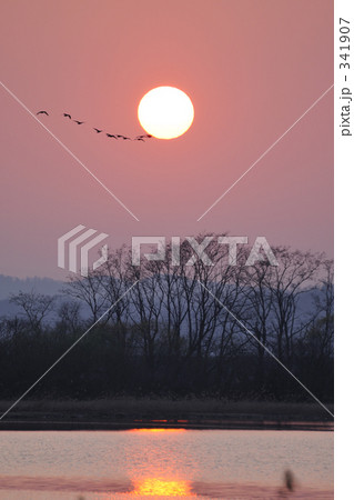 「茜色の空」の写真素材 「茜色の空」の写真素材