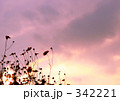 夏の夕暮れ