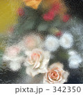 窓辺の薔薇