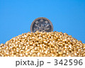 1円玉