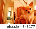 ちーちゃん