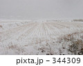 雪野