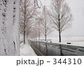 冬の道