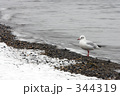 雪を見つめて