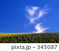 踊る雲