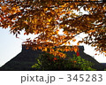 黄葉と茅葺屋根