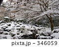 冬の聚碧園