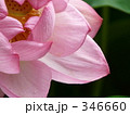 346660