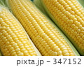 347152