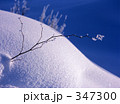 枝先の霧氷