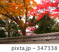 京都の紅葉