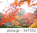 京都の紅葉