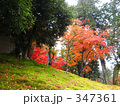 京都の紅葉
