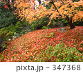 京都の紅葉