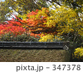 京都の紅葉