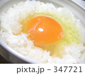 玉子かけご飯