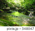 緑に染まる夏の谷