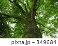 木陰で一休み