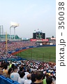 野球観戦