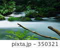 奥入瀬渓流
