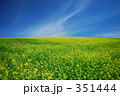 素材ナンバー 351444 : 「夏空」