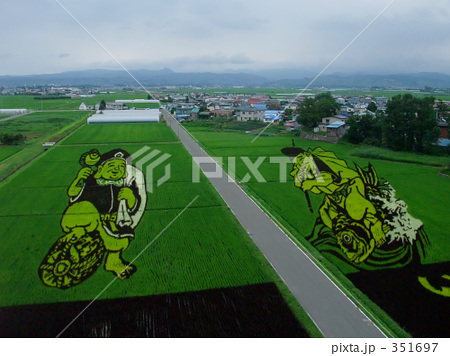 田んぼアート 緑色 田舎館村