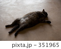 351965