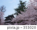 桜と丑寅櫓