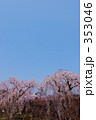 しだれ
