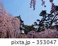 お城と枝垂れ桜