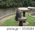 いじけた。ゴリラ？