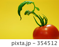 葉付きプチトマト　赤