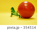 葉付きプチトマト　赤