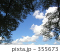 木と空