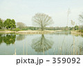 水辺の風景