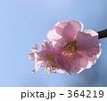 春光に包まれて