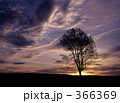 366369