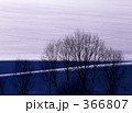 366807