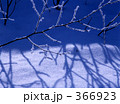 366923