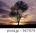 367979
