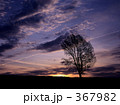 367982